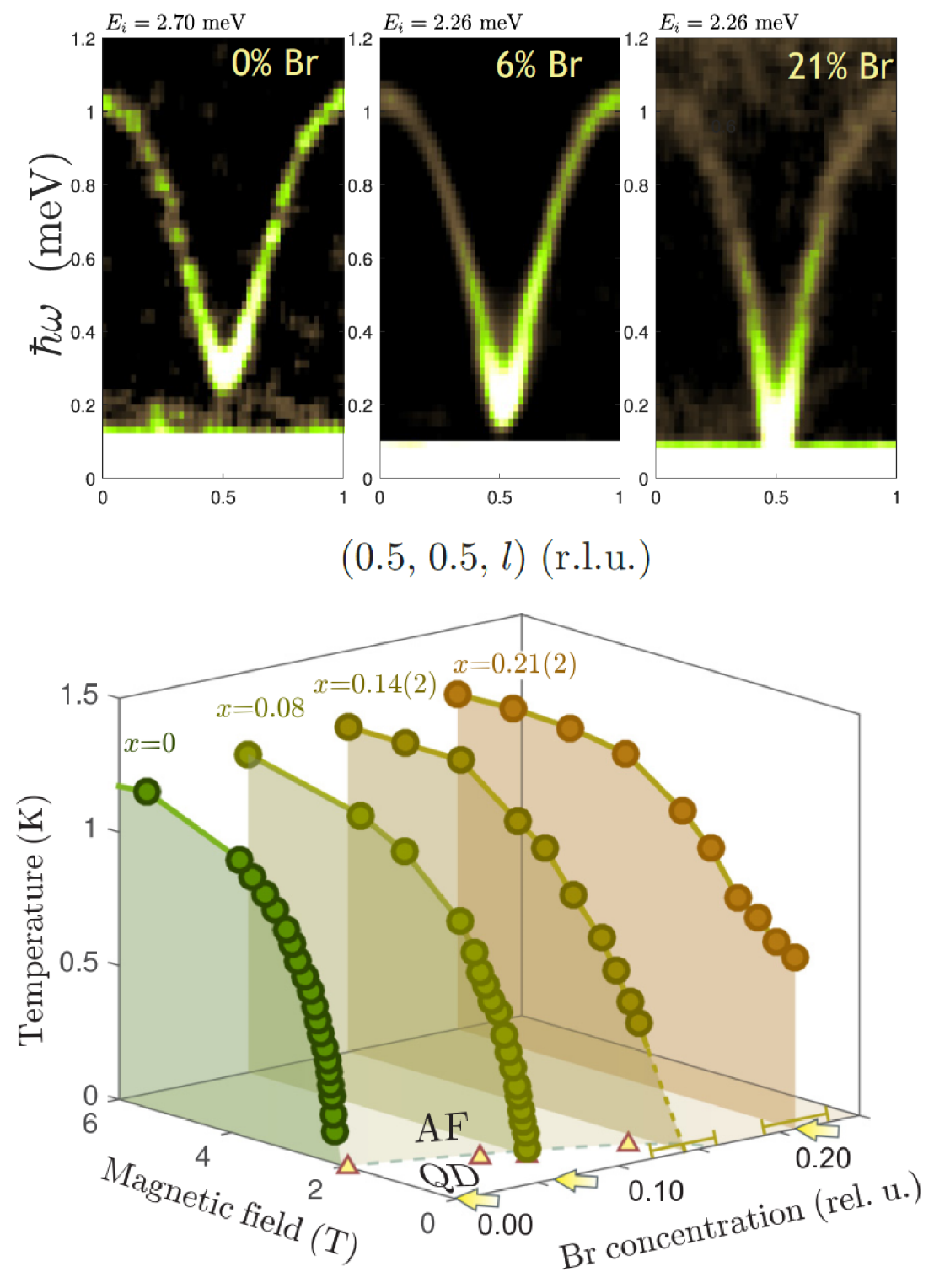 Enlarged view: Top: Inelastic neutron scattering measurement of the magnetic excitation spectra in DTNX with x=0 , 0.06 and 0.21. Bottom: The overall x-T-H magnetic phase diagram of DTNX [2].