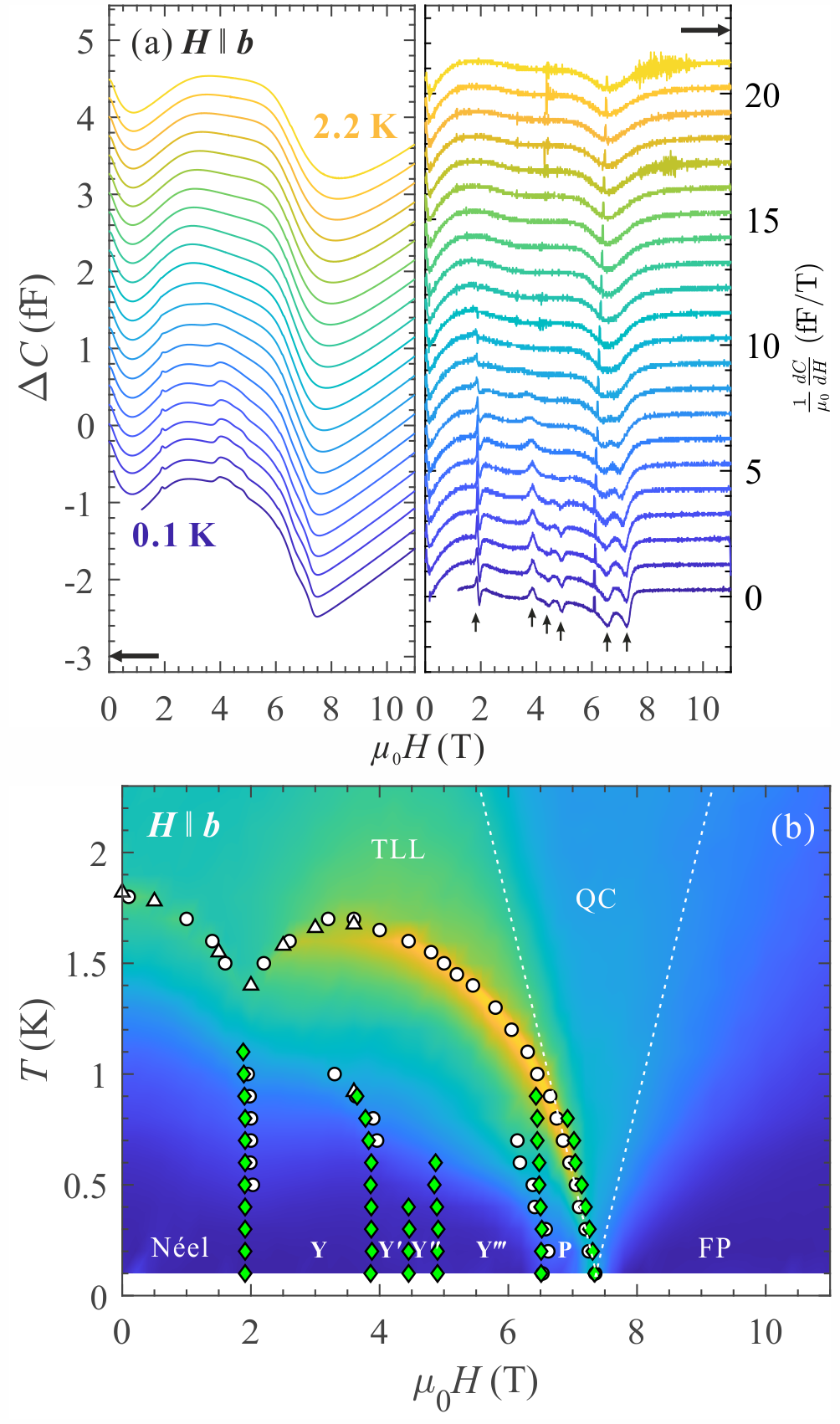 Enlarged view: (a) Magnetic torque curves (left panel) and their derivative (right panel) for H ‖ b in Cs<sub>2</sub>Cu<sub>2</sub>Mo<sub>3</sub>O<sub>12</sub>. (b) Magnetic phase diagram in a magnetic field applied along b axis [1].