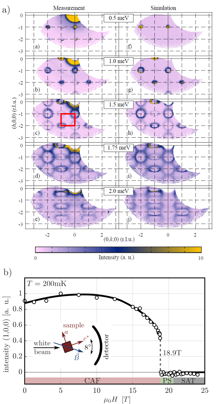 Enlarged view: Top: Spin excitation spectrum in Pb<sub>2</sub>VO(PO<sub>4</sub>)<sub>2</sub>. Neutron scattering data vs. model simulation [1]. Bottom: Magnetic field dependence of a magnetic Bragg peak measured in up to a record-setting 24 Tesla [2].