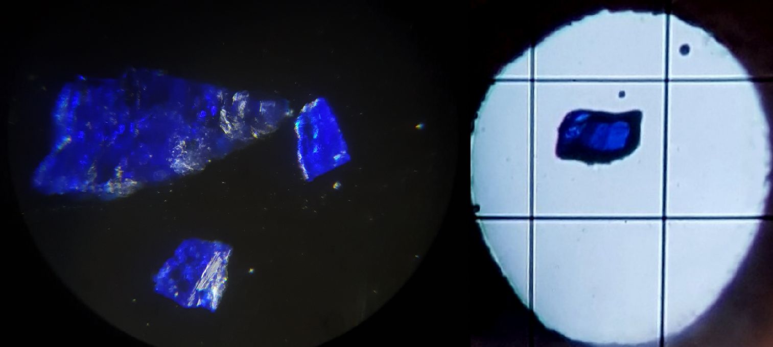 SrCu2(BO3)2 crystals
